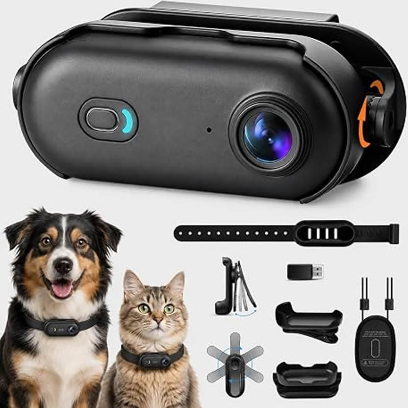 Pet Cameras 1080P HD Dog Cat P - Home Cinema Hd ulasan dan harga