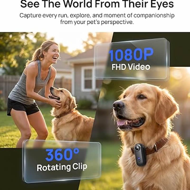 Pet Cameras 1080P HD Dog Cat P - Home Cinema Hd ulasan dan harga