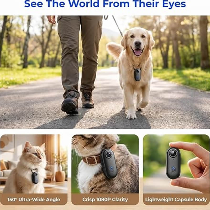 Pet Cameras 1080P HD Dog Cat P - Home Cinema Hd ulasan dan harga